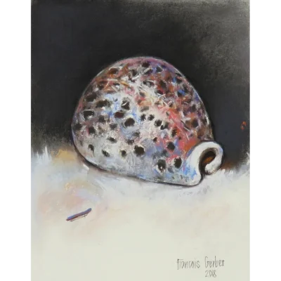 Francois Gerber painting of a cowry shell