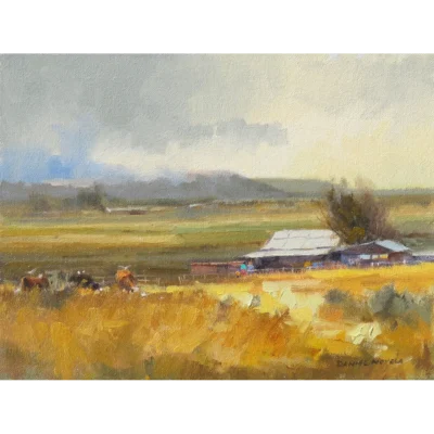 Farm in the Free State