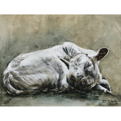 JJ Clark painting of fa newborn calf