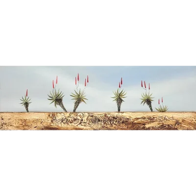Mia Brand painting of Aloes