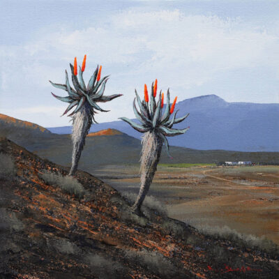 Rick Becker painting of Aloes in the Karoo