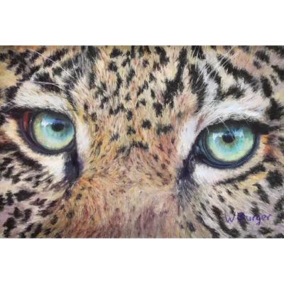 Willie Burger painting of a leopard's eyes