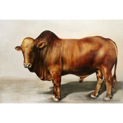 JJ Clark painting of an Afrikaner Bull