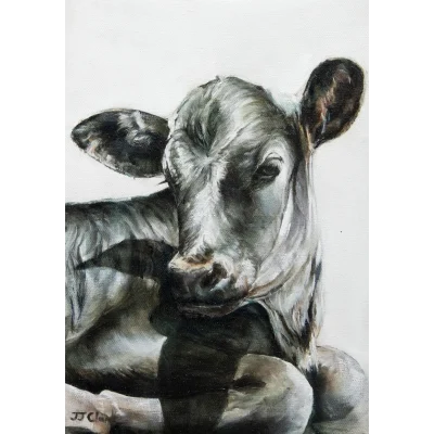 JJ Clark painting of a calf